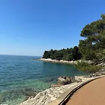 Mare