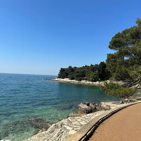 Mare