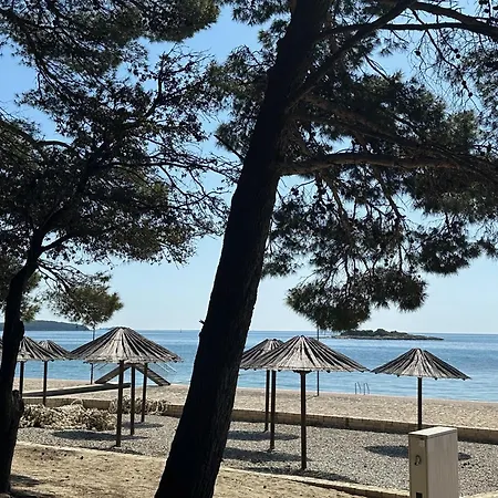 Mare
